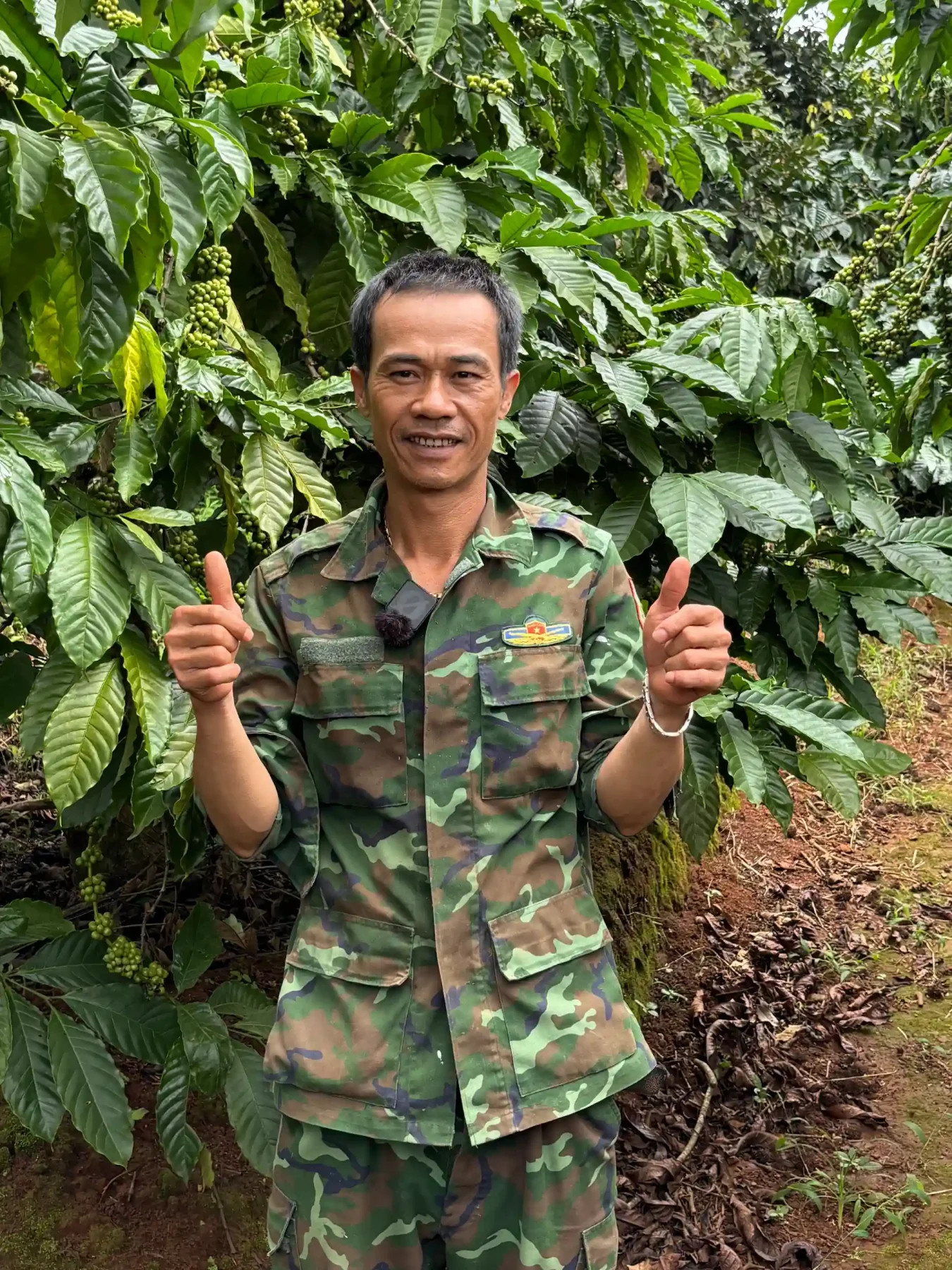 Chú Tiến